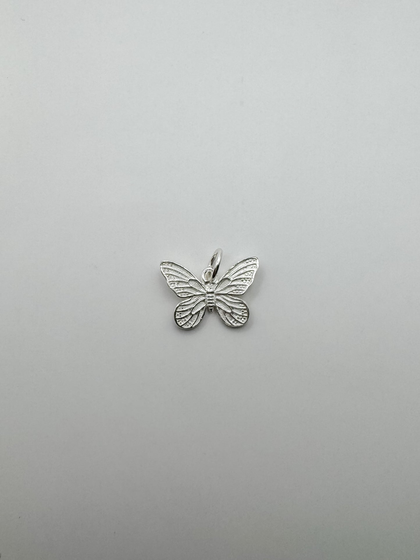 Bright Silver Butterfly